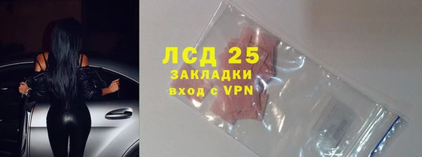 ECSTASY Тайга