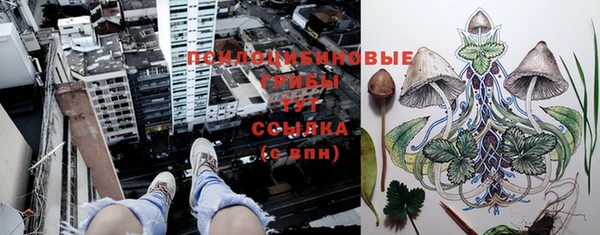 первитин Богданович