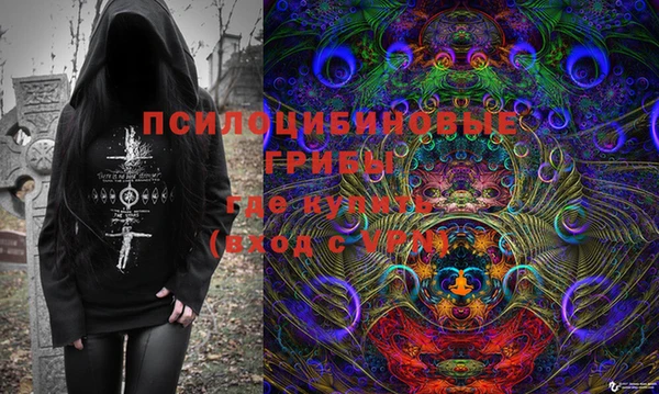 spice Беломорск
