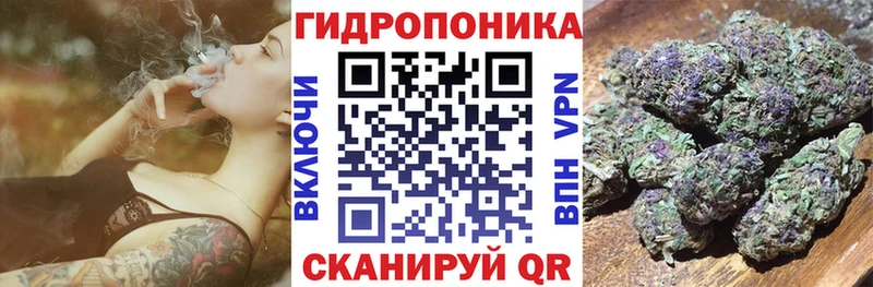 МАРИХУАНА сатива  Княгинино 